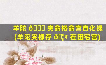 羊陀 🐛 夹命格命宫自化禄(羊陀夹禄存 🦢 在田宅宫)